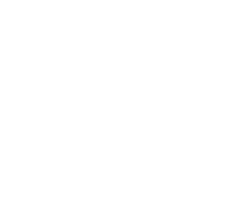 Denver Custom Coatings logo